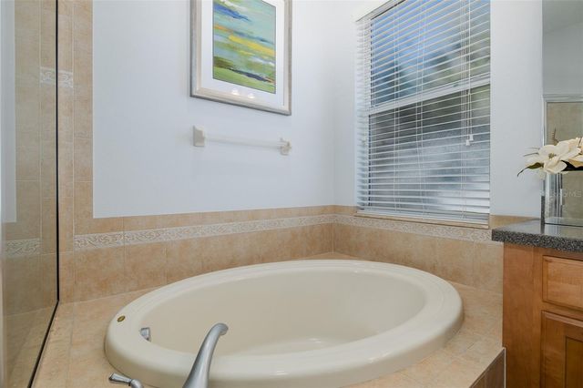 20301 FALLING ROCK DRIVE, Land O Lakes, FL 34638