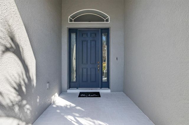 20301 FALLING ROCK DRIVE, Land O Lakes, FL 34638