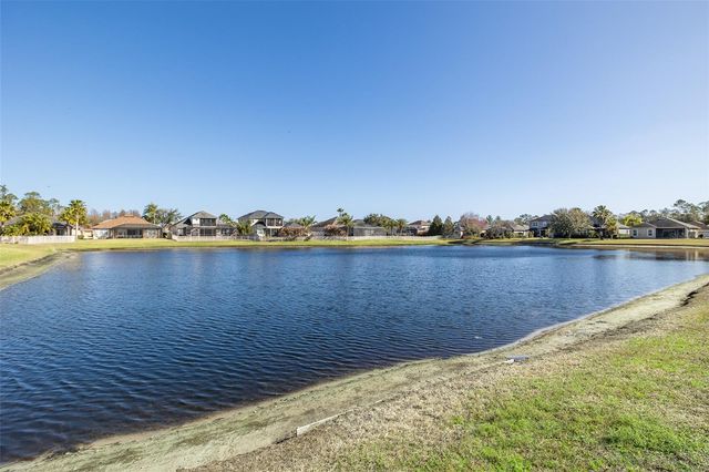 20301 FALLING ROCK DRIVE, Land O Lakes, FL 34638
