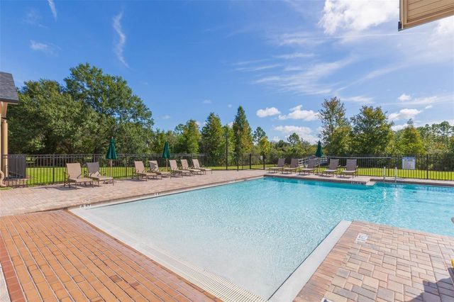 20301 FALLING ROCK DRIVE, Land O Lakes, FL 34638