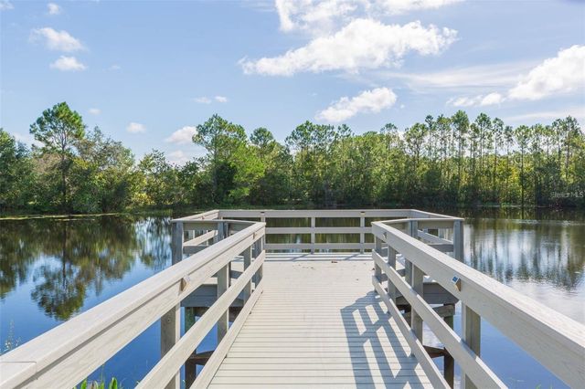 20301 FALLING ROCK DRIVE, Land O Lakes, FL 34638