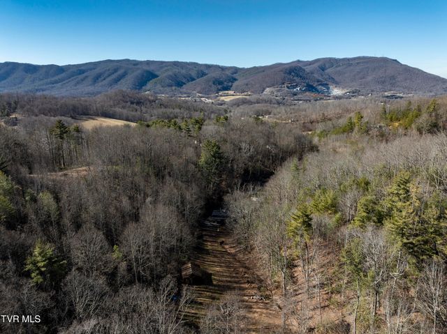 124 Ogle Road, Unicoi, TN 37692