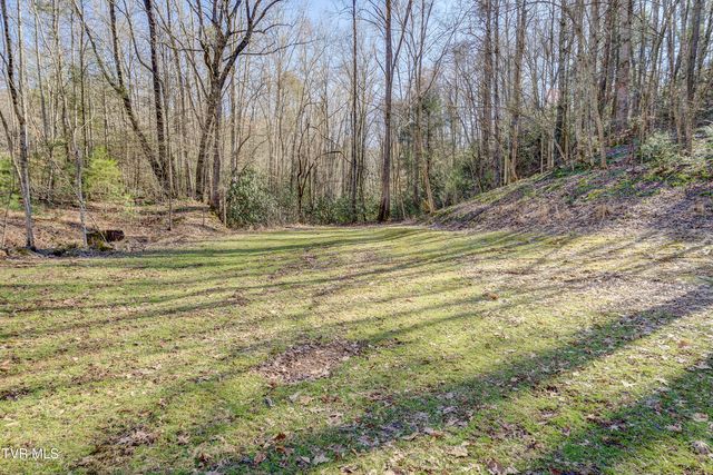 124 Ogle Road, Unicoi, TN 37692