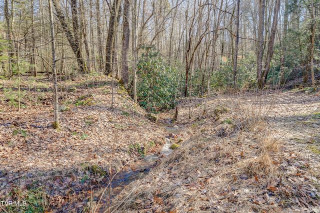 124 Ogle Road, Unicoi, TN 37692