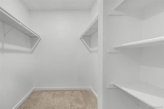 1293 Benton Street, Lakewood, CO 80214