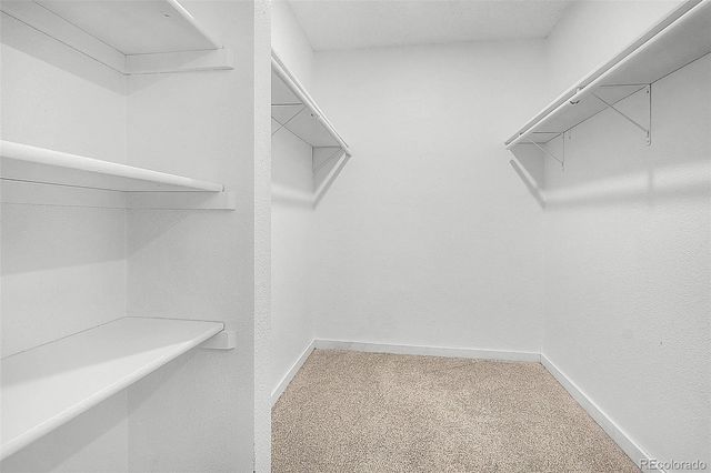 1293 Benton Street, Lakewood, CO 80214