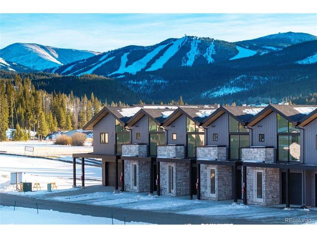 101 Wheeler Rd, Winter Park, CO 80482