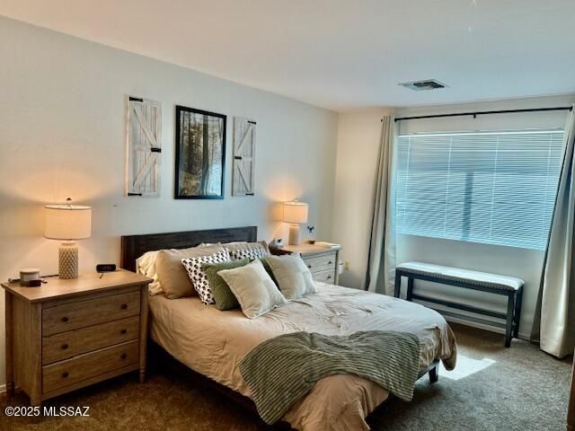 6012 S Sweet Birch Lane, Tucson, AZ 85747