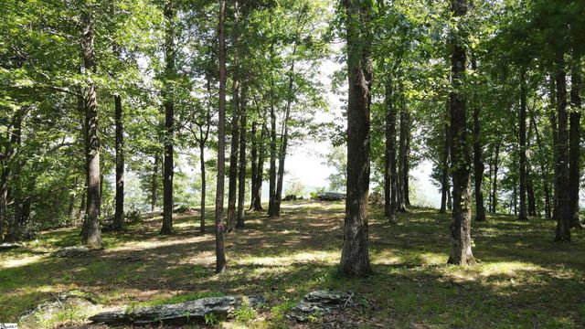 0 Southview Ledge Road LOT 62, Landrum, SC 29356