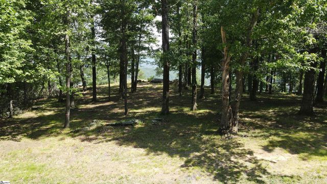 0 Southview Ledge Road LOT 62, Landrum, SC 29356
