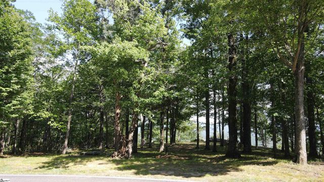 0 Southview Ledge Road LOT 62, Landrum, SC 29356