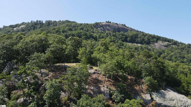 0 Southview Ledge Road LOT 62, Landrum, SC 29356