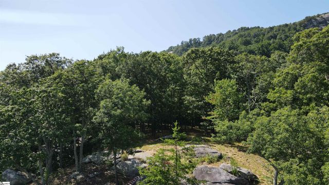0 Southview Ledge Road LOT 62, Landrum, SC 29356