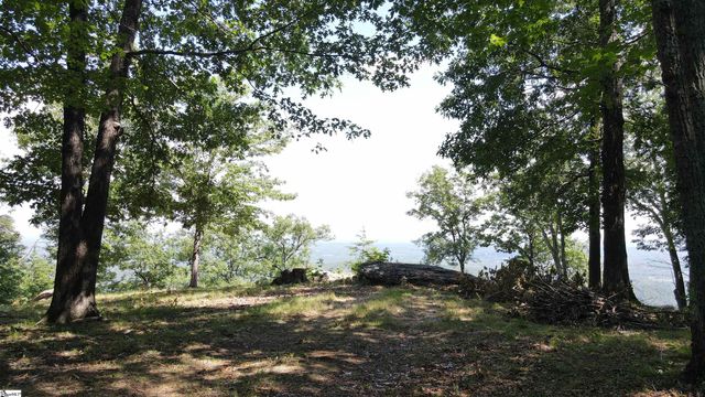 0 Southview Ledge Road LOT 62, Landrum, SC 29356