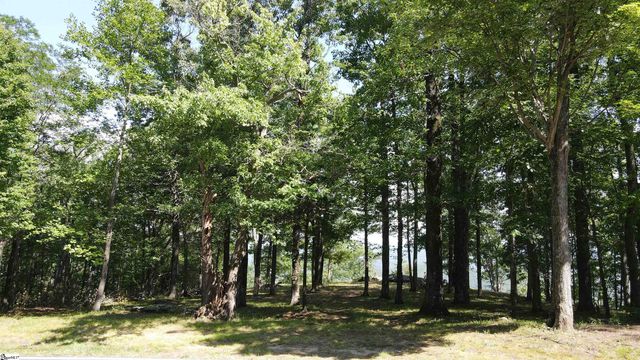 0 Southview Ledge Road LOT 62, Landrum, SC 29356