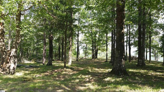 0 Southview Ledge Road LOT 62, Landrum, SC 29356
