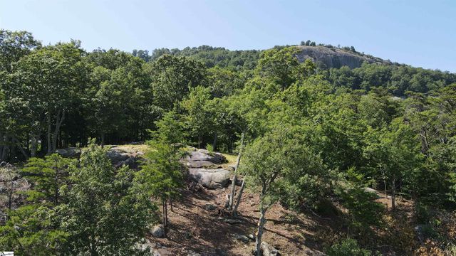 0 Southview Ledge Road LOT 62, Landrum, SC 29356
