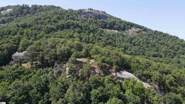 0 Southview Ledge Road LOT 62, Landrum, SC 29356