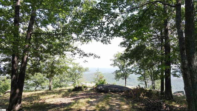 0 Southview Ledge Road LOT 62, Landrum, SC 29356