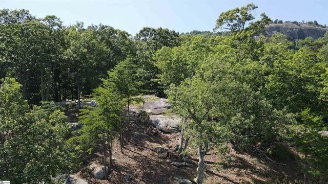 0 Southview Ledge Road LOT 62, Landrum, SC 29356