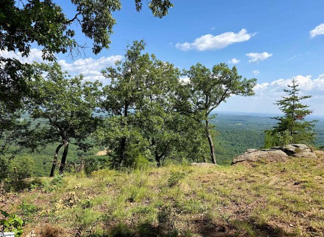 0 Southview Ledge Road LOT 62, Landrum, SC 29356