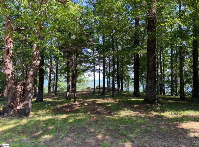 0 Southview Ledge Road LOT 62, Landrum, SC 29356