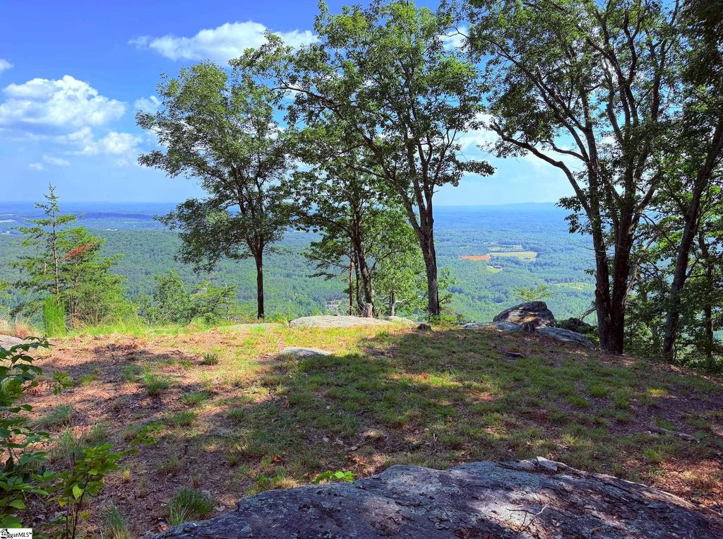 0 Southview Ledge Road LOT 62, Landrum, SC 29356