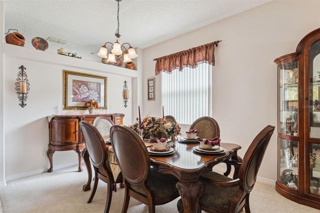 9955 MEDALLION BLUFF LANE, Orlando, FL 32829