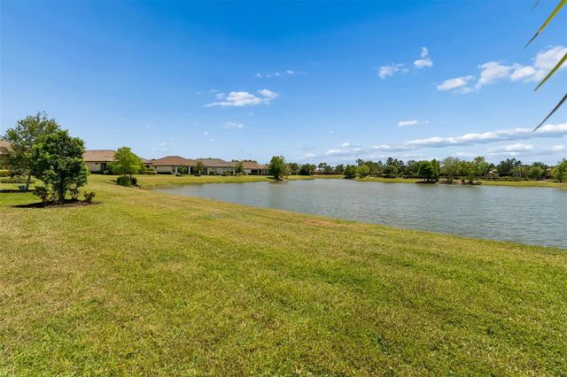 11318 JUGLANS DRIVE, Odessa, FL 33556