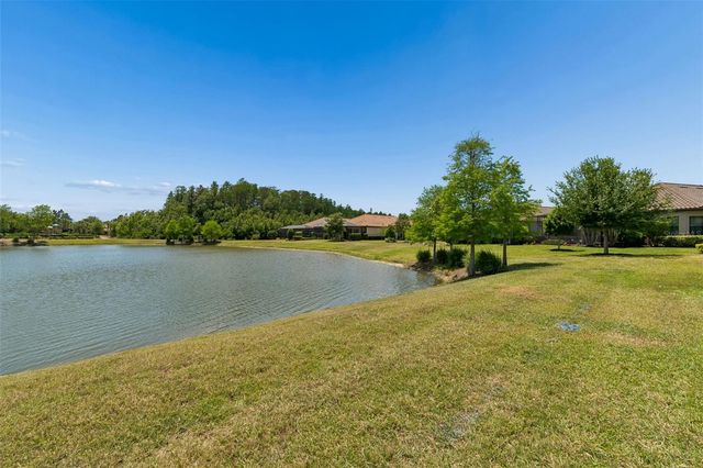 11318 JUGLANS DRIVE, Odessa, FL 33556
