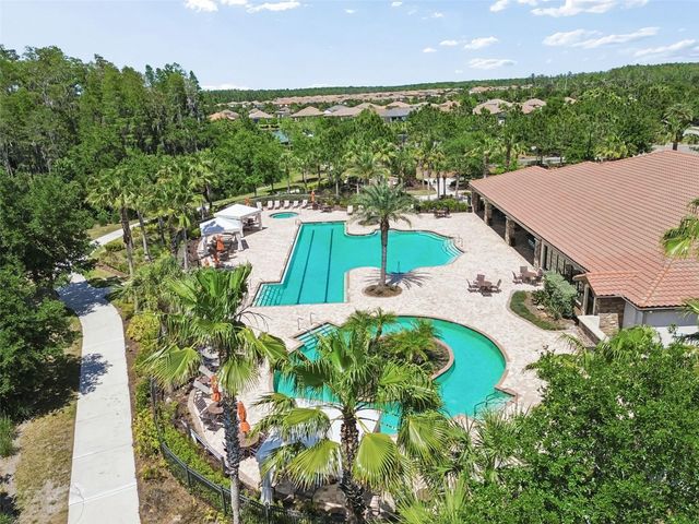 11318 JUGLANS DRIVE, Odessa, FL 33556