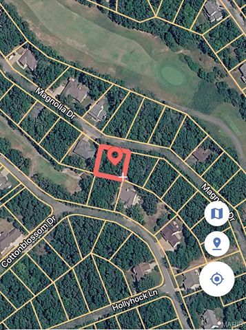 9 Magnolia Drive, Hillsboro, MO 63050