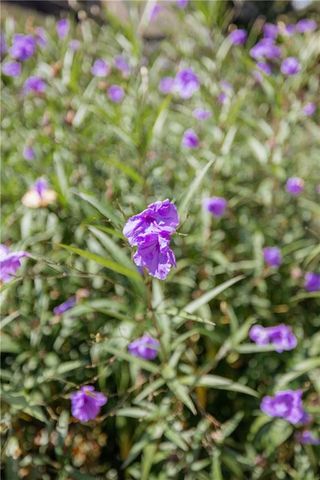 2813 W Roxboro NE Road, Atlanta, GA 30324