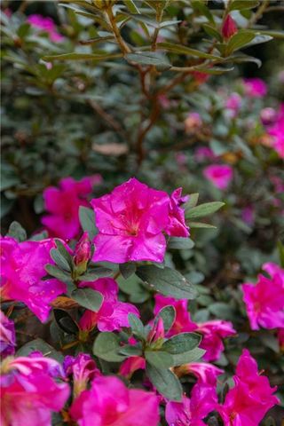 2813 W Roxboro NE Road, Atlanta, GA 30324