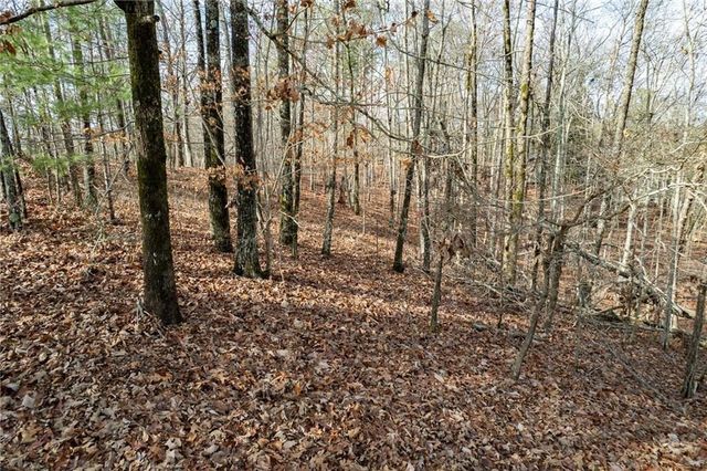 533 NE Marque Lane, Ranger, GA 30734