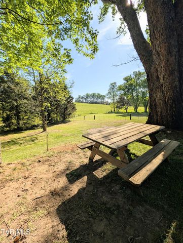 139 Bill Bennett Road, Johnson City, TN 37604