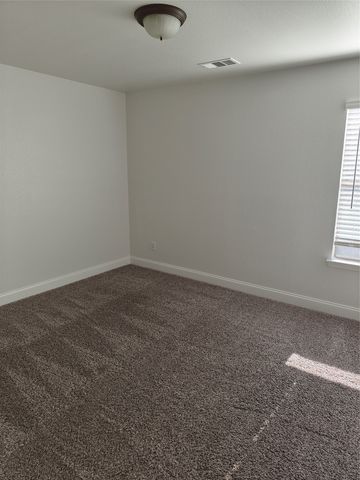 406 Stanley Falls Drive, Anna, TX 75409