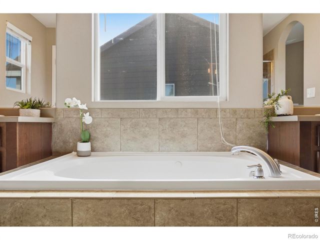 6528 Richland Avenue, Timnath, CO 80547