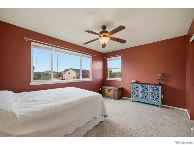 6528 Richland Avenue, Timnath, CO 80547