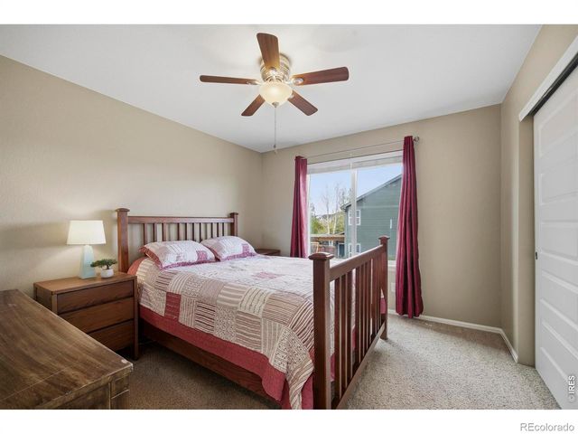 6528 Richland Avenue, Timnath, CO 80547