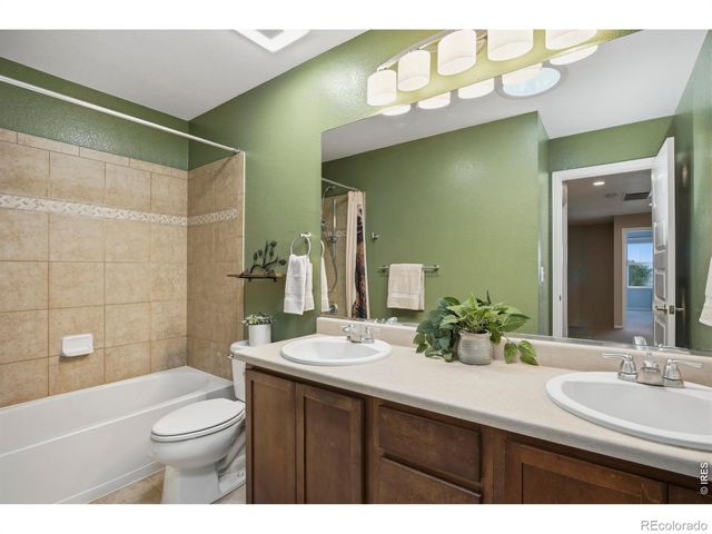 6528 Richland Avenue, Timnath, CO 80547