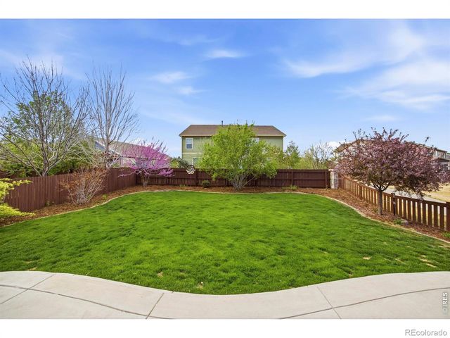 6528 Richland Avenue, Timnath, CO 80547