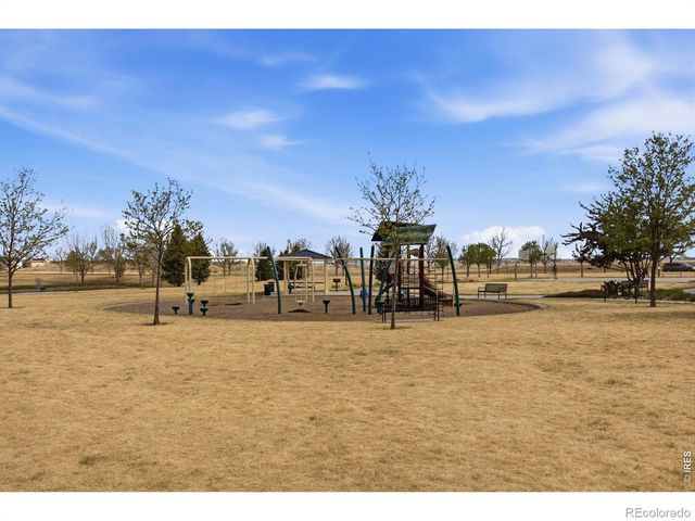 6528 Richland Avenue, Timnath, CO 80547