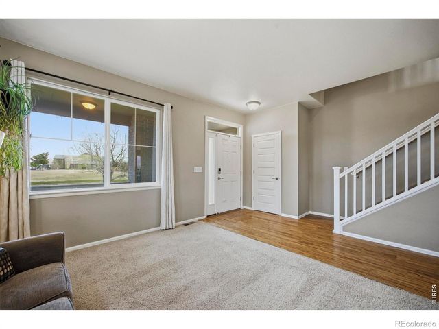 6528 Richland Avenue, Timnath, CO 80547