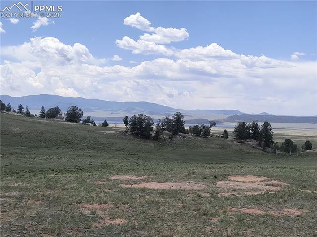 2674 County Road 333, Hartsel, CO 80449 — photo 4
