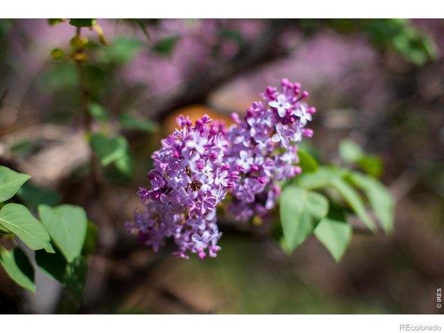 2447 20th Street, Boulder, CO 80304