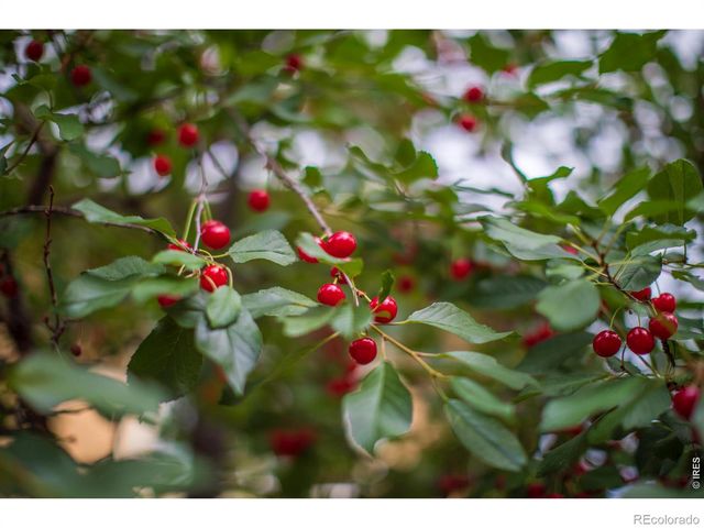 2447 20th Street, Boulder, CO 80304