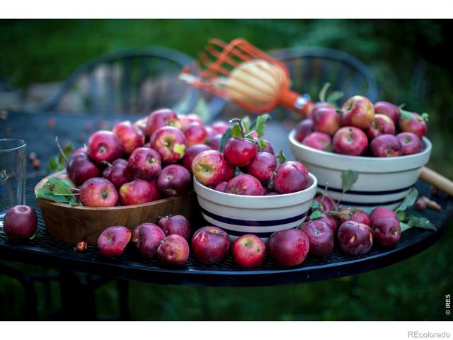 2447 20th Street, Boulder, CO 80304