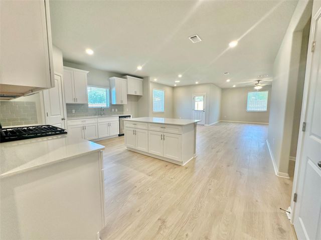 391 Backstays LOOP, Kyle, TX 78640