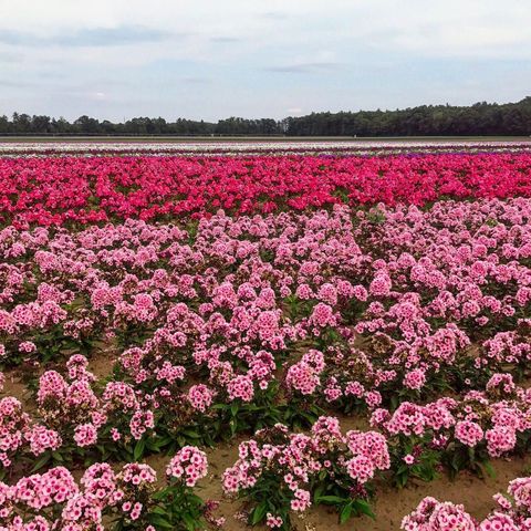 4089 30th Street, Salem Twp, MI 49323